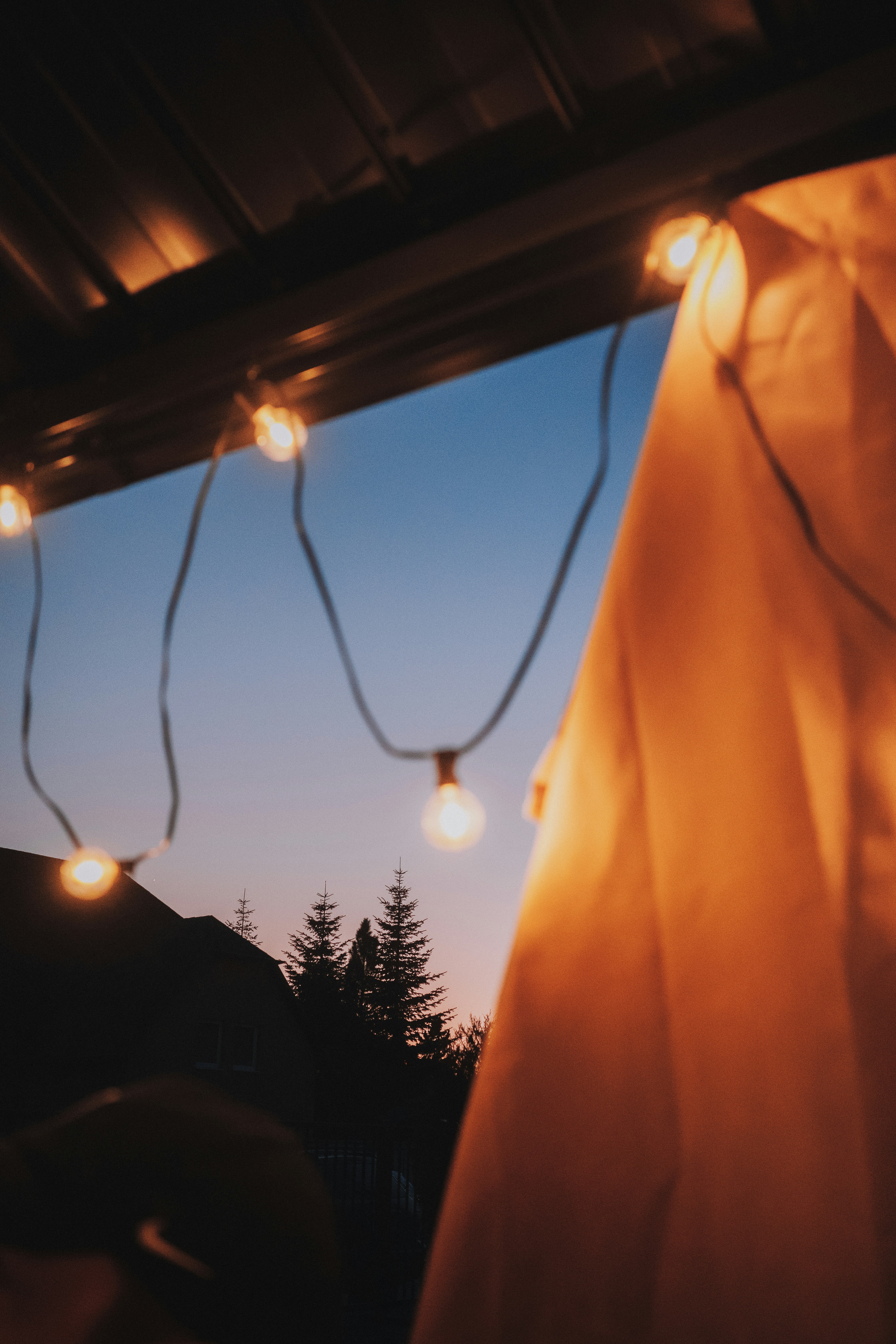 What Makes Us Different